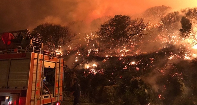 Antalya’nın Kaş ilçesindeki orman yangını kontrol altına alındı