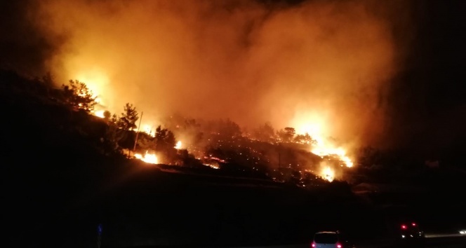 Mersin’de orman yangını: 3 hektar kızılçam ormanı zarar gördü