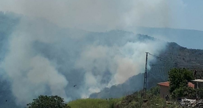 Ormanlık alandaki yangın paniğe neden oldu